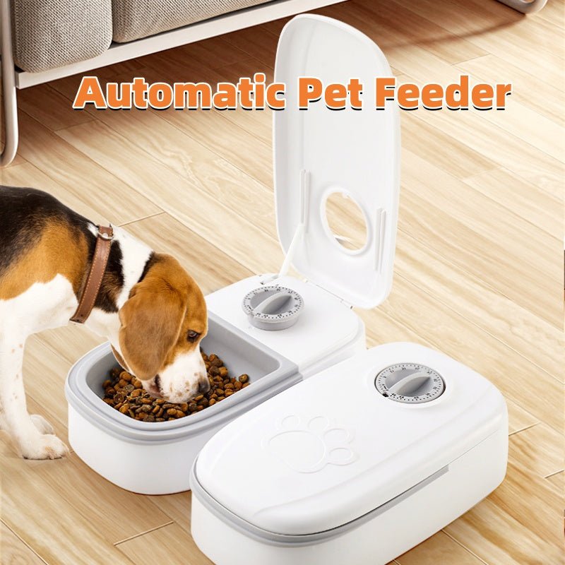 Automatic Pet Feeder Smart Food Dispenser For Cats Dogs Timer Stainless Steel Bowl Auto Dog Cat Pet Feeding Pets Supplies - Dkakashop