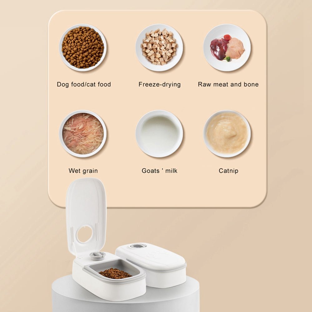 Automatic Pet Feeder Smart Food Dispenser For Cats Dogs Timer Stainless Steel Bowl Auto Dog Cat Pet Feeding Pets Supplies - Dkakashop