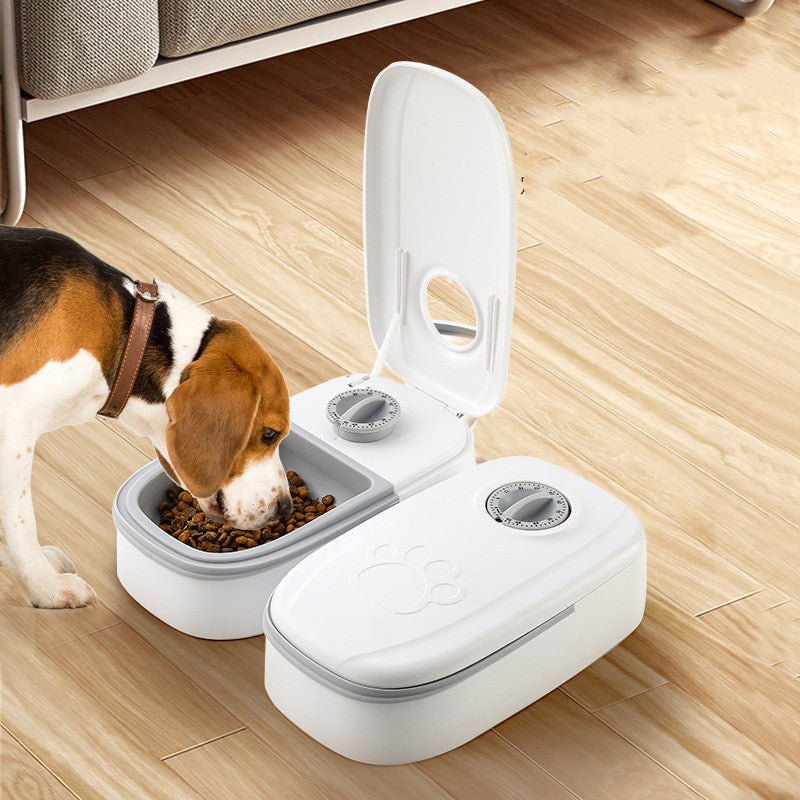 Automatic Pet Feeder Smart Food Dispenser For Cats Dogs Timer Stainless Steel Bowl Auto Dog Cat Pet Feeding Pets Supplies - Dkakashop